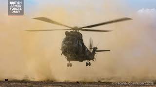 RAF Puma Helicopters Perform Dust Landings Saif Sareea 3 | British Armed Forces News
