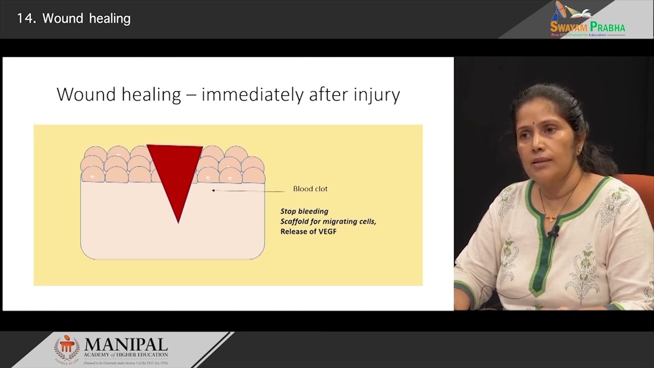 Wound healing Primary & Secondary