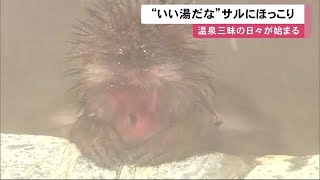 サルの"温泉三昧の日々"始まる 「一緒に入りたい」…函館冬の風物詩「サル山温泉」くつろぐ姿にほっこり (22/12/01 11:55)