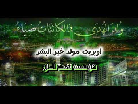 اوبريت المولد النبوي الشريف 1447 ولد الهدى فالكائنات ضياء