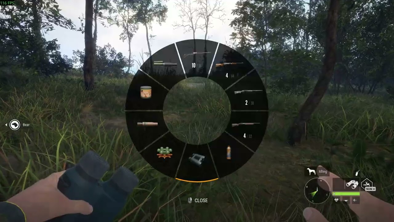 theHunter  Call of the Wild: Buffalo w 10ga