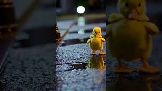 happy duck #ai #animation #motivation #viralvideo #shortsfeed #shortvideo #video #cute