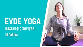 10 Dk Başlangıç Seviyesi Yoga İle Rahatlama