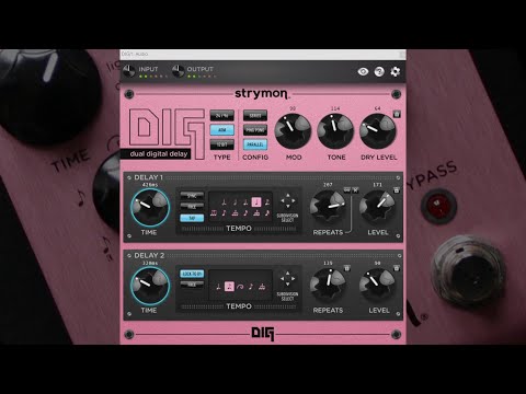 Strymon DIG Plugin Demo - YouTube