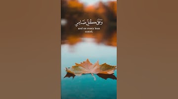 وَأَذِّنْ فِي النَّاسِ بِالْحَجِّ يَأْتُوكَ رِجَالًا | من سورة الحـج – الآية 27