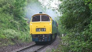 D1062 passing Northwood Halt 16th May 2024 by John Goodale 66 views 21 hours ago 1 minute, 6 seconds