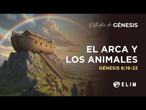 El arca y los animales