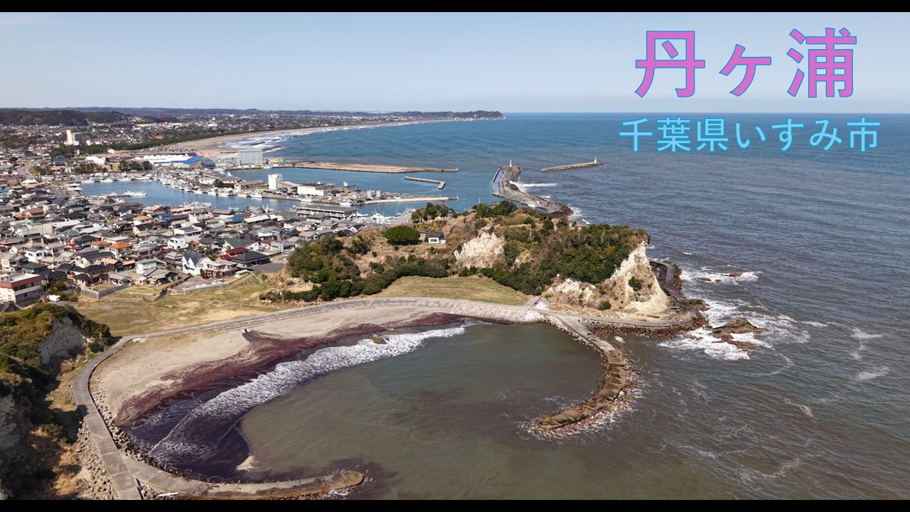 【絶景】房総の秘境・丹賀浦。海藻が彩る紫の絨毯と断崖絶壁の芸術