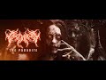 Bleed The Sky The Parasite Feat Mark Hunter Of Chimaira Official Music Video BVTV Music Bleed The Sky The Parasite Feat Mark Hunter Of Chimaira Official Music Video BVTV Music