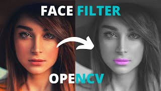 facial landmarks and face filter using opencv python