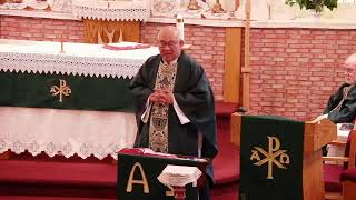 July 19, 2026 Sixteenth Sunday in Ordinary Time