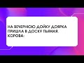 На вечернюю дойку доярка пришла в доску пьяная. Корова: а как ты… 😆Анекдоты для отличного настроения