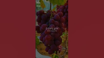 إِنَّ لِلْمُتَّقِينَ مَفَازًا / سورة النبأ / القارئ ابراهيم شرف