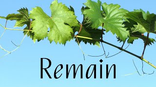 Remain
