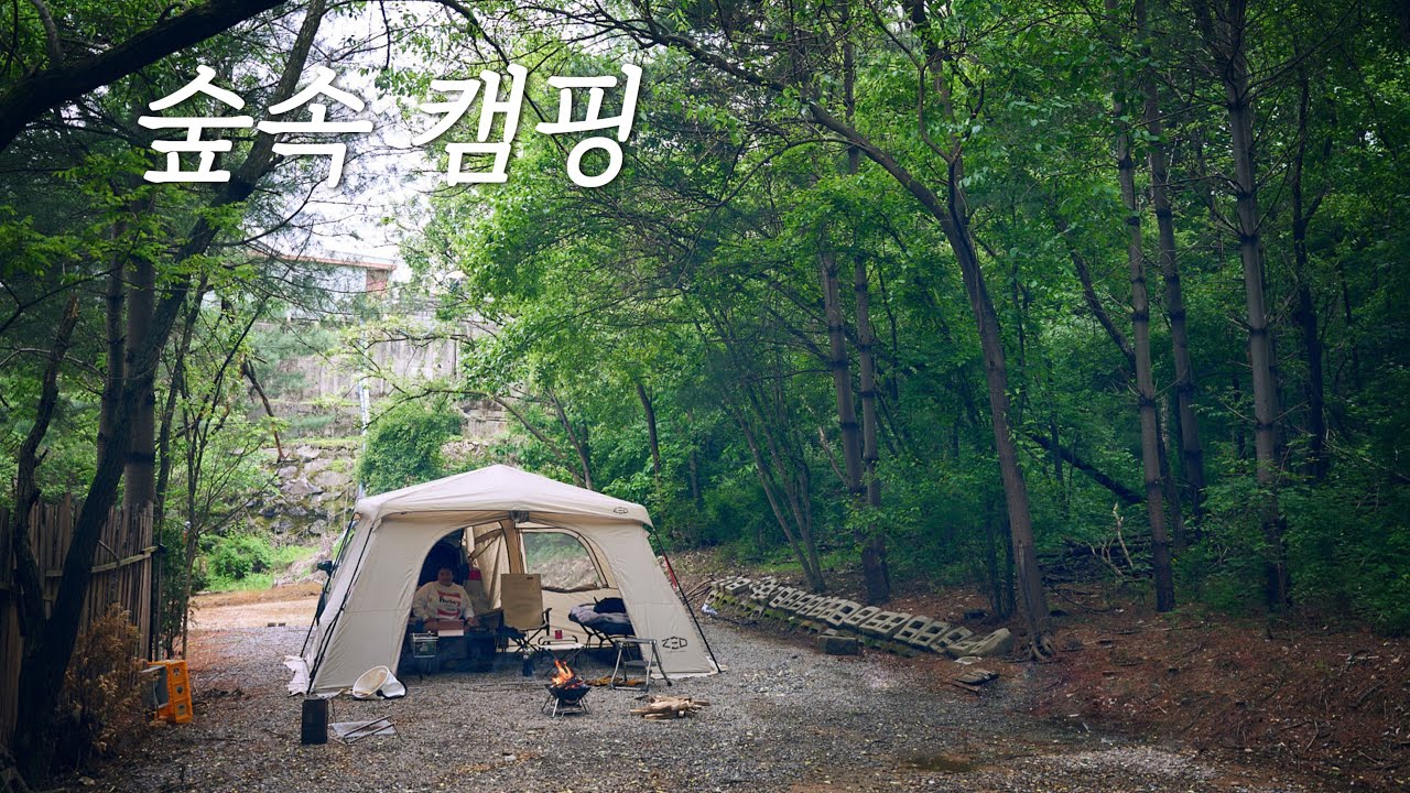 Лесной кемпинг, окруженный деревьями 🌲ㅣHouse TanㅣYonggari Teacher Camping Site