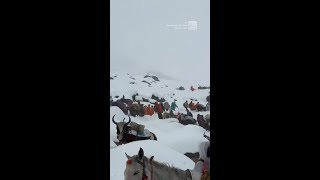 Hundreds Of Mount Everest Hikers Trapped By Fierce Snowstorm