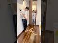 女性とすぐ仲直りする方法