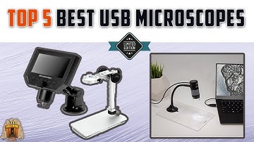 Top 5 Best USB Microscopes On The Market Of 2022 [Review] - Grab The One
