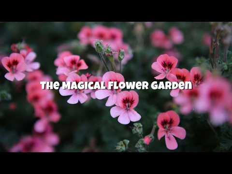 Echostria - The Magical Flower Garden (Lyrics)