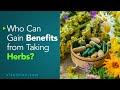 Who Can Gain Benefits from Taking Herbs | Vital Plan Webinar Short