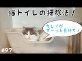 【目からウロコの猫トイレ掃除法！】新しい猫用トイレを買いました