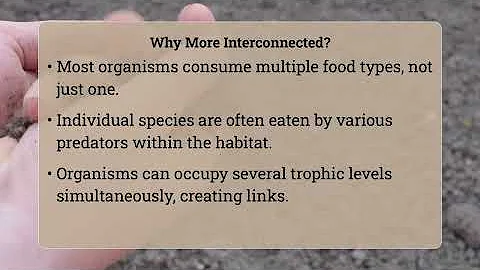 Why Are Food Webs More Complex Than Food Chains?