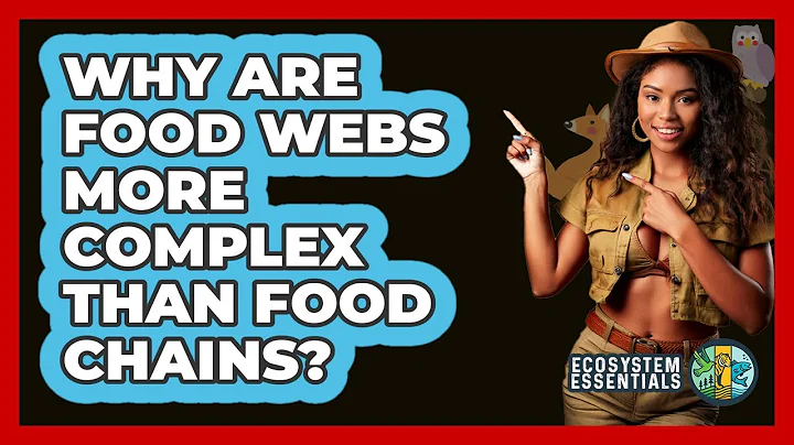 Why Are Food Webs More Complex Than Food Chains?