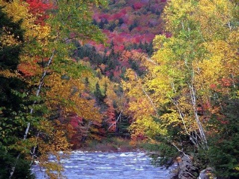 Autumn Leaves (sung in French).