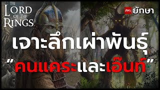 เจาะลึกข้อมูลเผ่าพันธุ์ : 