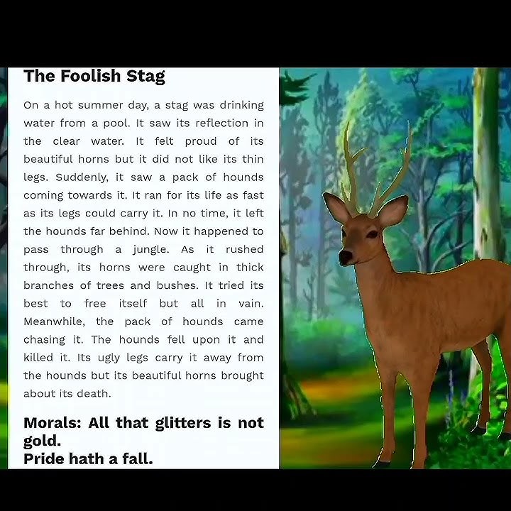 The Foolish Stag Story Writing 9th Class English Grammar