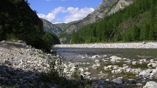 Шушенский бор — национальный парк на территории Шушенского района Красноярского края России(Шушенский бор — национальный парк на территории Шушенского района Красноярского края России. Национальны..., 2016-04-01T12:59:36.000Z)