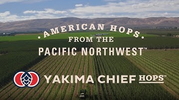 Yakima Chief Hops Overview