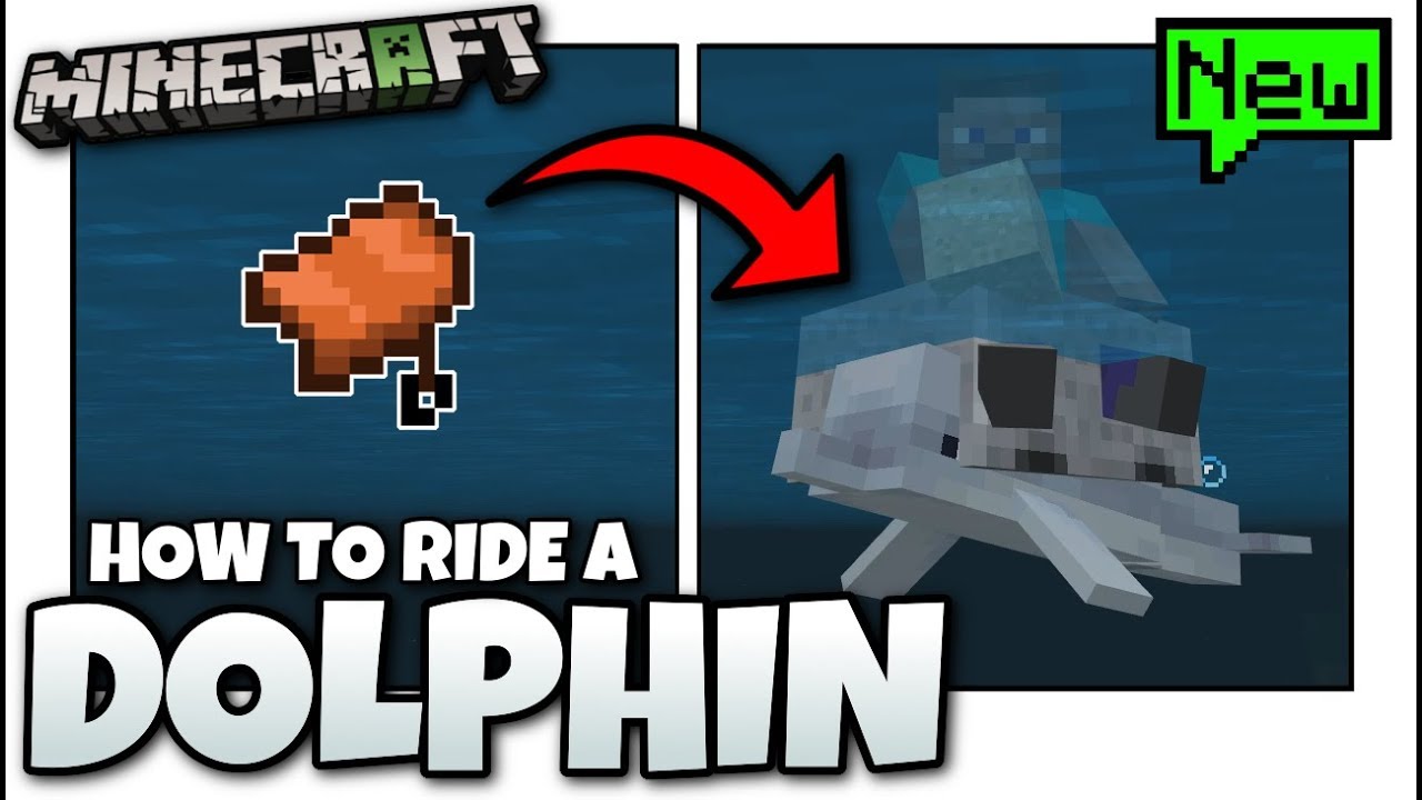 Minecraft - How to ride a DOLPHIN [ Tutorial ] BETA -MCPE 