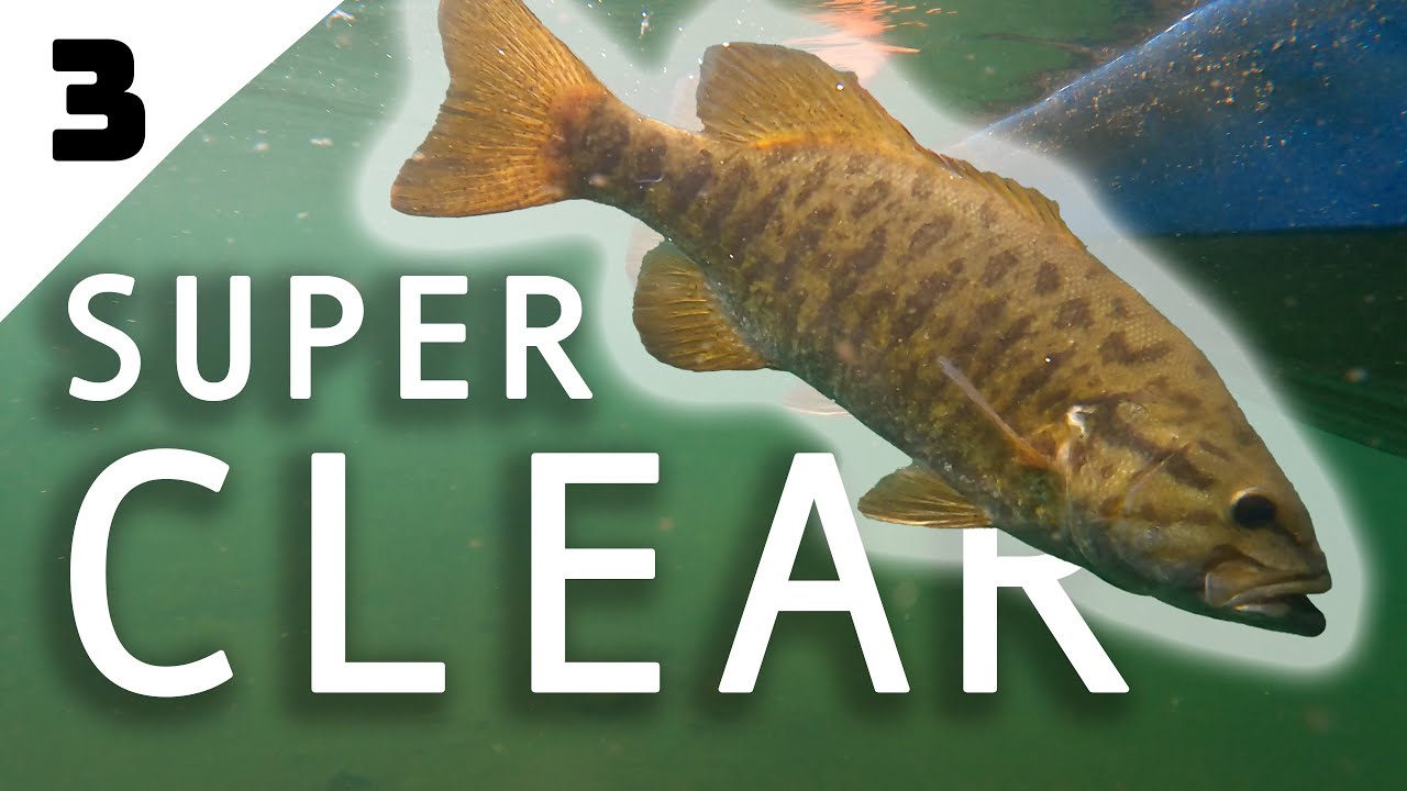 Bass Fishing SUPER CLEAR Northern Wisconsin Lakes | Ep. 3 CTT
