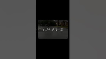 ماتيسر من سورة المؤمنون للقارئ محمد اللحيدان #قرآن #قران_كريم #quran