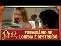 Formigário de Lorena é destruído | As Aventuras de Poliana