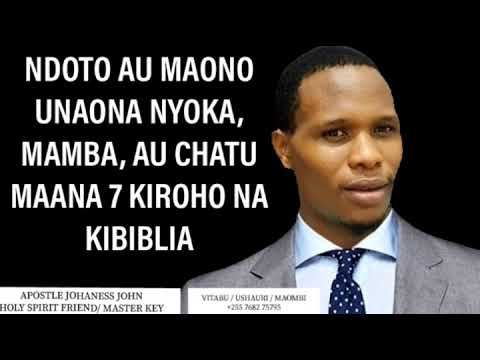 NDOTO AU MAONO UNAONA NYOKA MAMBA AU CHATU MAANA 7 KIROHO NA KIBIBLIA