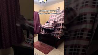 POV: You Own Nothing in 2048 🤣🤣🤣 #comedyshorts