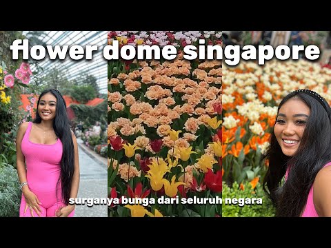 SINGAPORE SOLO TRIP | FLOWER DOME