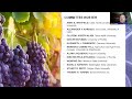 Review of Grapevine Viruses, Grapevine Red Blotch Virus, and Grapevine Leafroll - Public Meeting #1