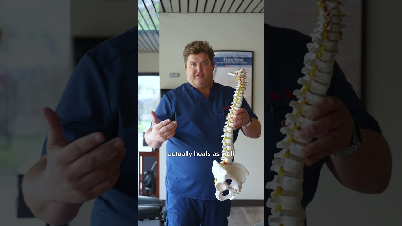 What is Chiropractic? Back to Health in Torrance Redondo Beach & Palos Verdes.  