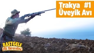 Trakya Üveyik Avı 1.Bölüm Rastgele Ali Birerdinç Yaban Tv