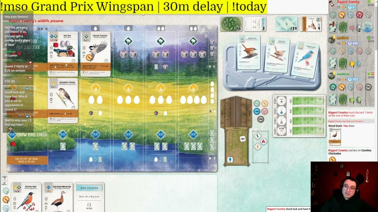I Final'd the MSO Grand Prix Wingspan Tournament YouTube