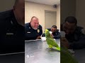 THE PARROT WHO ROASTED THE COPS 🦜 #police #parrot #funny #viral #fypシ #usa #india #birds #pets