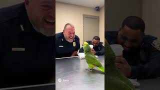 The Parrot Who Roasted The Cops シ