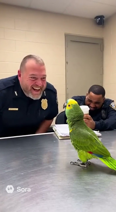 THE PARROT WHO ROASTED THE COPS 🦜 #police #parrot #funny #viral #fypシ #usa #india #birds #pets