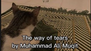 The way of tears | By Muhammad Al Muqit | sped up Resimi