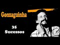 G.o.n.z.a.g.u.i.n.h.a - 35 Sucessos