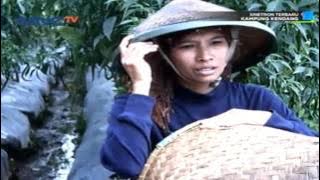 Kampung Kendang Episode 7