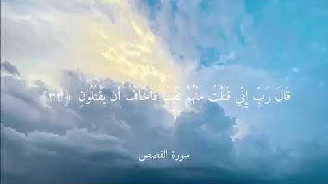 سَنَشُدُّ عَضُدَكَ بِأَخِيكَ سورة القصص